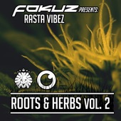 Fokuz Presents Rasta Vibez - Roots & Herbs Vol. 2 artwork