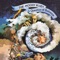 Minstrel's Song - The Moody Blues lyrics
