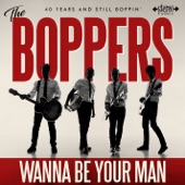 Wanna Be Your Man artwork