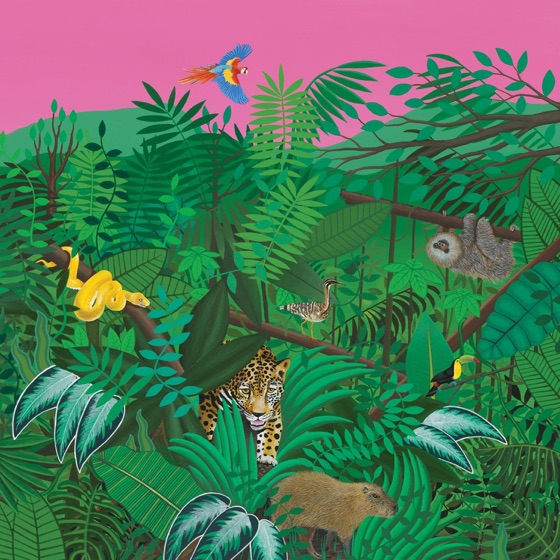 Cover artwork for Curiosity