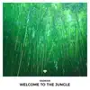 Welcome to the Jungle - Single album lyrics, reviews, download