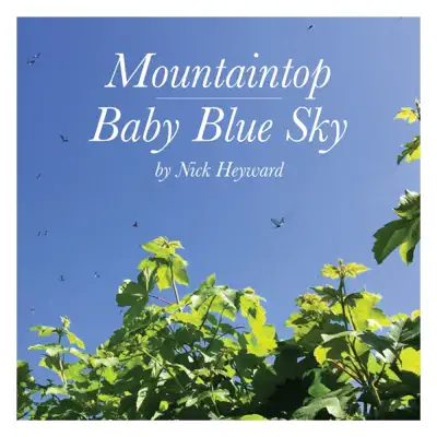 Mountaintop & Baby Blue Sky - Single - Nick Heyward