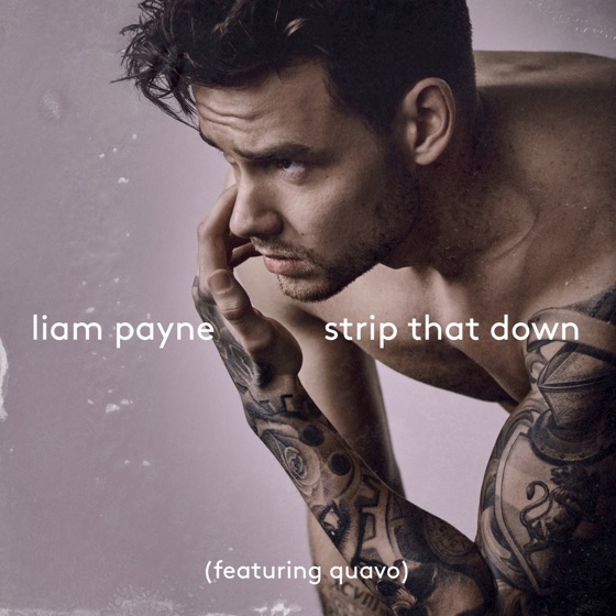 Cover artwork for Strip That Down (feat. Quavo)