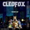 Blackout (feat. Wave Chapelle) - Cleo Fox lyrics