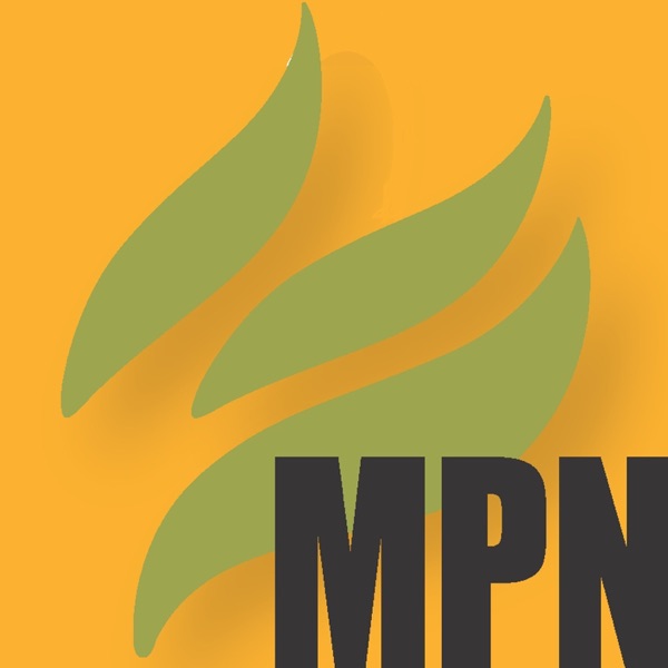 Mint Press News cover