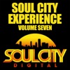 Soul City Experience, Vol. 7