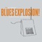 Very Rare Vpro - The Jon Spencer Blues Explosion lyrics