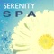 Gentle Tones (Spa & Massage) - Serenity Music Ensamble lyrics