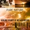 Life Sounds Nature - Nature Sounds Collective lyrics