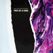 Two of a Kind artwork