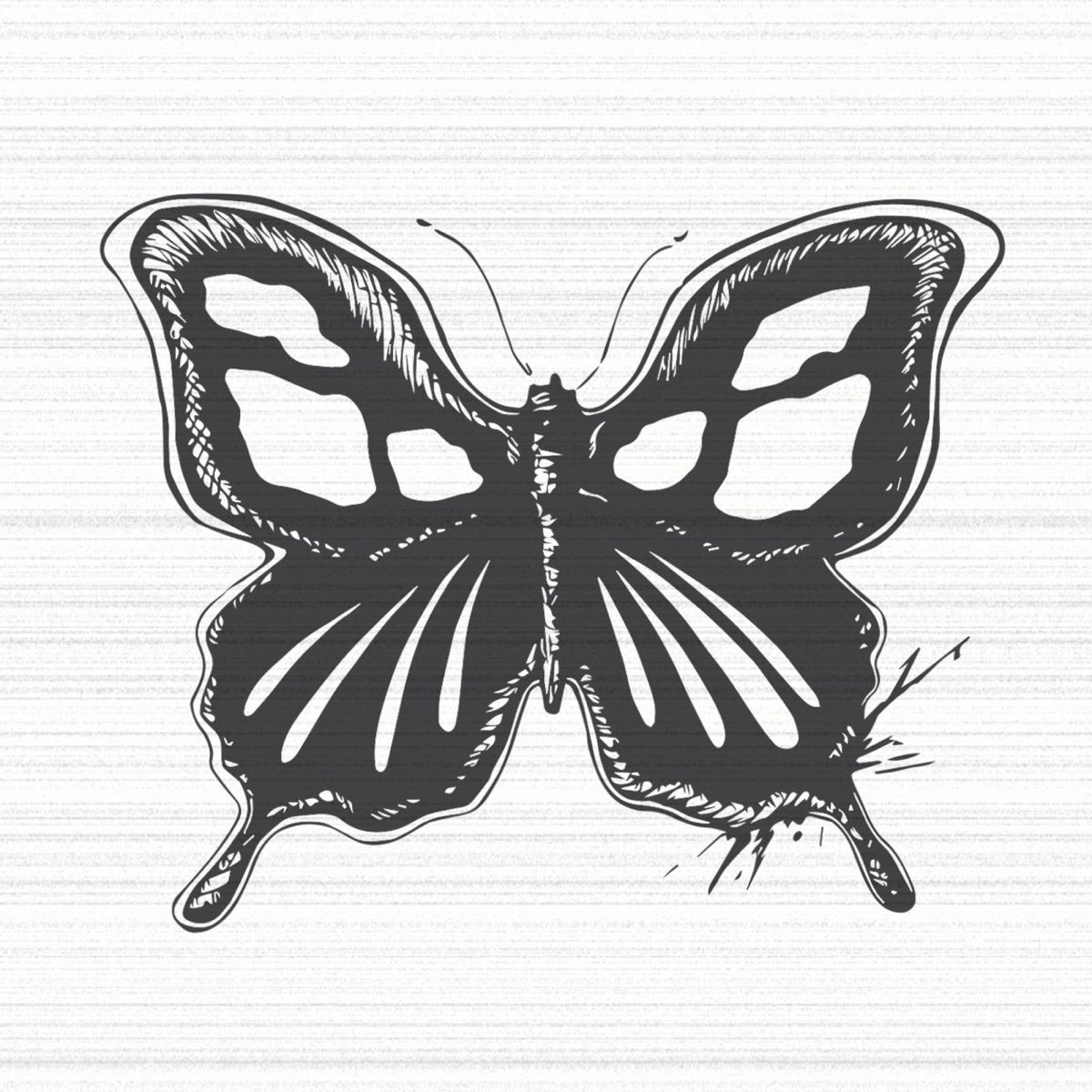 Бабочка черный глянец. Черная бабочка с белыми кругами. След от бабочки. Чёрная бабочка с крестом что такое.