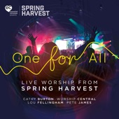 How Deep the Father's Love For Us (feat. Lou Fellingham) [Live] artwork