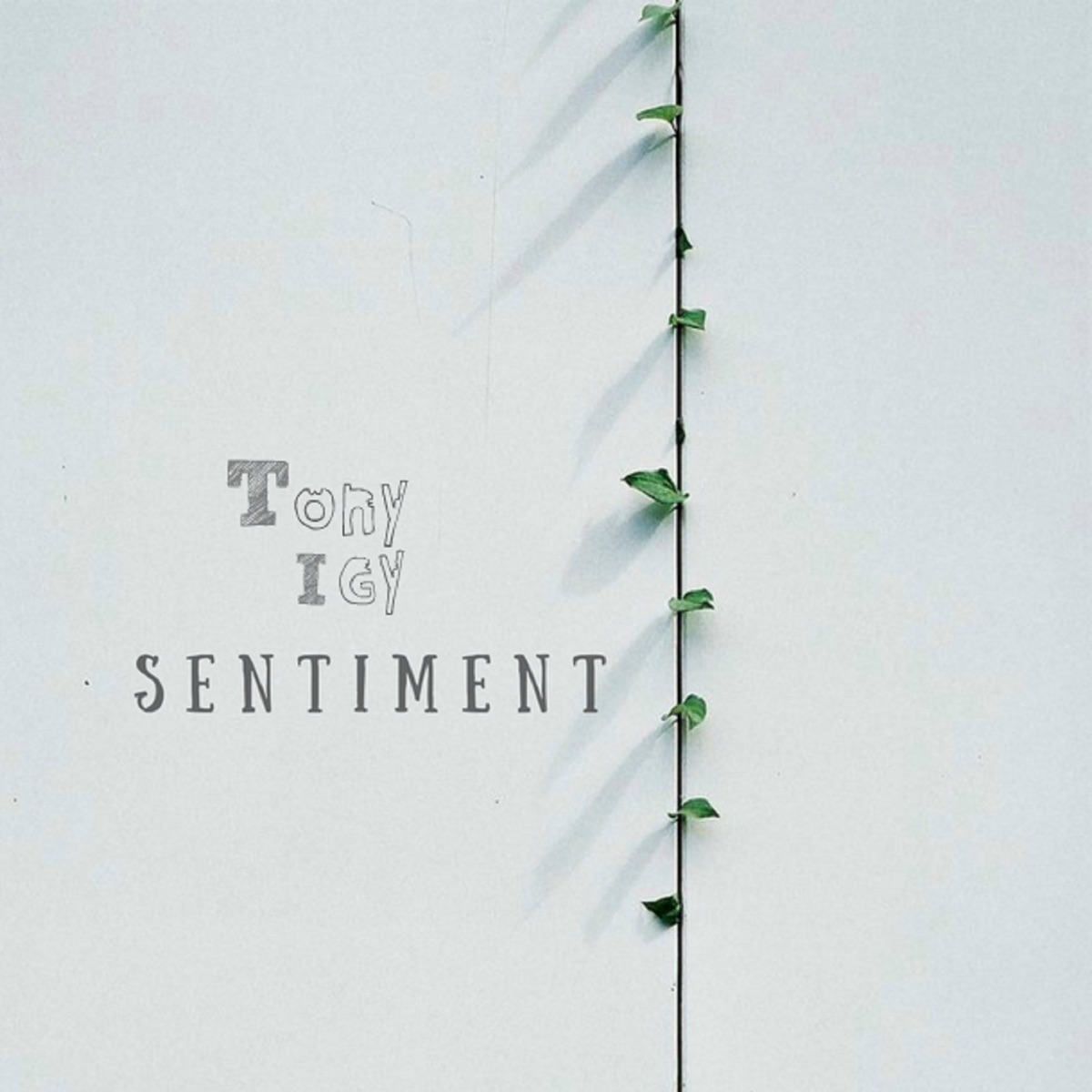 Tony Igy – Sentiment: слушать и скачать mp3 песню