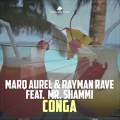 Conga (feat. Mr. Shammi) [Raindropz! Remix] artwork