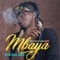 Bongo Bahati Mbaya - Young Dee lyrics