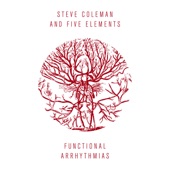 Functional Arrhythmias (feat. Jonathan Finlayson, Sean Rickman, Miles Okazaki, Anthony Tidd & Steve Coleman) artwork