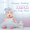 Amazing Soothing Sounds for Baby Sleep: 30 Bedtime Music Collection, Sleep Lullabies for Newborn album lyrics, reviews, download