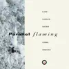 Parallel Flaming album lyrics, reviews, download