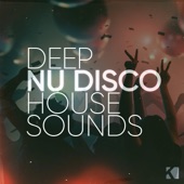 Deep Nu Disco House Sounds artwork
