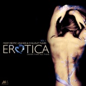 Erotica, Vol. 1 (Most Erotic Chill Tracks) artwork