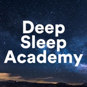 Deep Sleep Academy - The Most Relaxing, Soothing Music for your Night artwork