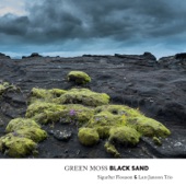 Green Moss Black Sand artwork