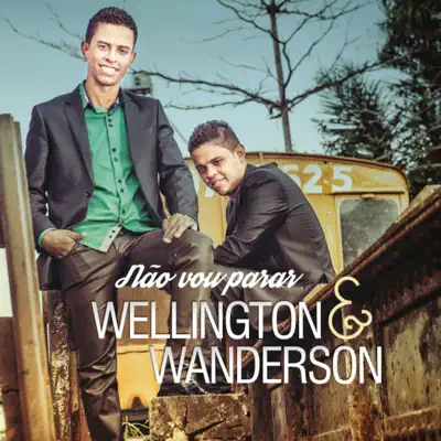 Não Vou Parar - Wellington & Wanderson