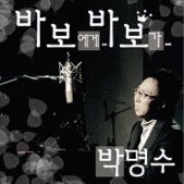 Park Myung Soo - 바보에게... 바보가