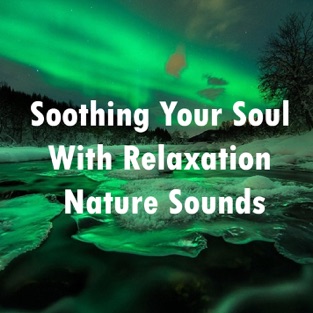 Soothing Your Soul with Relaxation Nature Sounds – EP – Nature Sounds, Sounds of Nature, Nature Sounds for Sleep and Relaxation & Rain Sounds