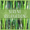 Serene Relaxation: 50 Asian Zen Spa Music for Meditation, Reiki, Yoga, Massage and Sleep Therapy, Soothe Your Mind, Body & Soul - Relaxing Distraction Therapy Zone