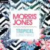 Tropical Summer Mixes album lyrics, reviews, download