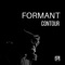 Contour - Formant lyrics