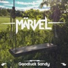 Goodluck Sandy - Single