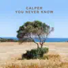 You Never Know (Simon Field Remix) - Single album lyrics, reviews, download