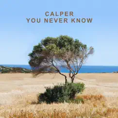 You Never Know (Simon Field Remix) - Single by Calper & Simon Field album reviews, ratings, credits