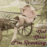 Not Now, I'm Reading podcast