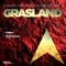 Grasland - Stanny Franssen & Ortin Cam lyrics