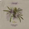 Dour (feat. Mars) - Stephen Xavier lyrics