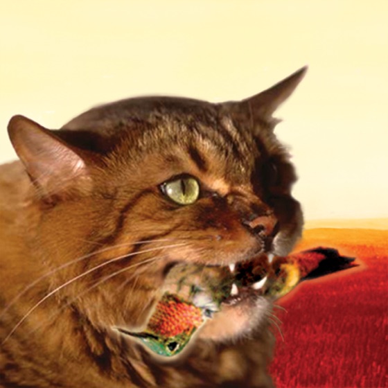 Cover artwork for Keep It Together (Meow Mix)