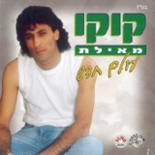 אלף לילה ולילה artwork