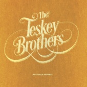 The Teskey Brothers - Til' the Sky Turns Black