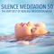Serenity Spa Music Relaxation - Breathing Techniques Doctor lyrics