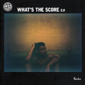 What’s the Score (Digital Farm Animals Remix) artwork