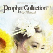Prophet Collection, Vol. 4 (Deep Oriental Vibrations) artwork