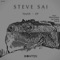 Youth - Steve Sai lyrics