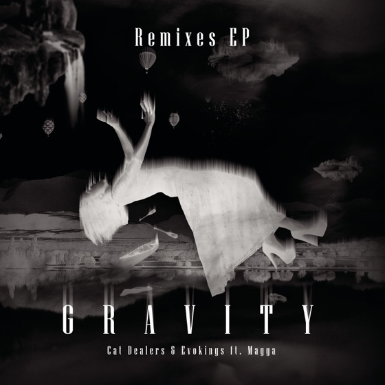 Cover artwork for Gravity (Wall-E Remix) [feat. Wall-E & Magga]