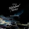 Wicked Fever (Niklas Ibach Remix) - Single