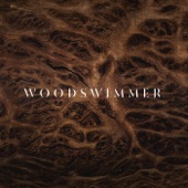 Woodswimmer artwork