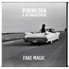 Fake Magic - Single, 2017