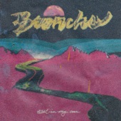 Broncho - Get in My Car